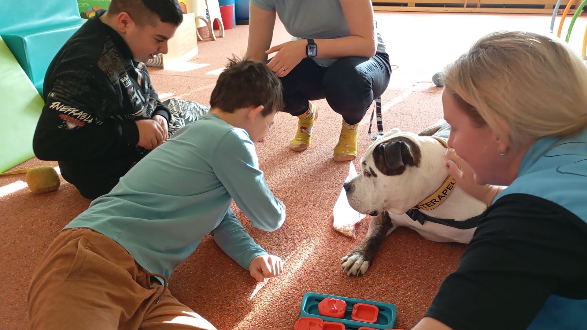 Canisterapie a oslava narozenin