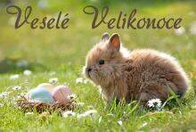 Veselé Velikonoce!