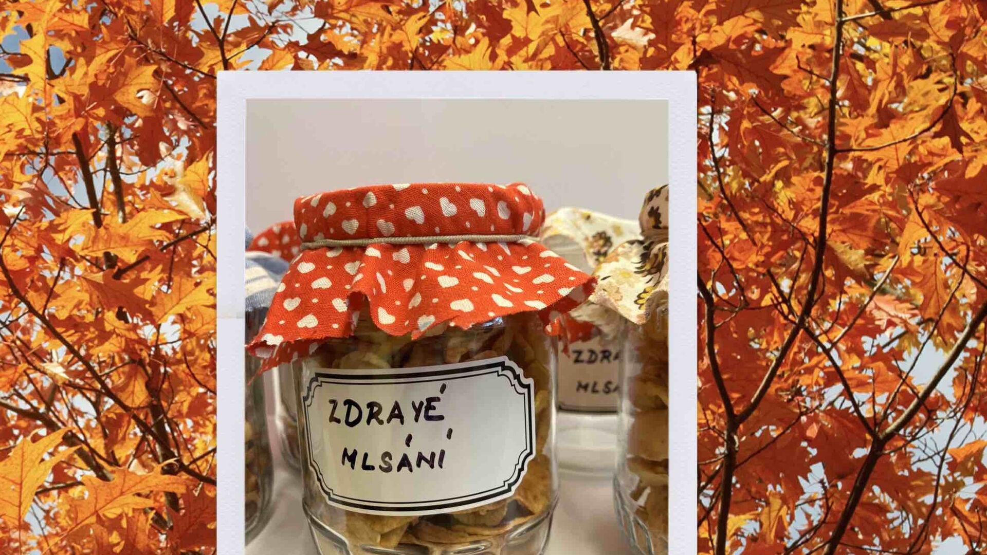 Jablíčkování na naší škole