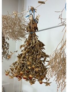 Voňavý svět bylinek