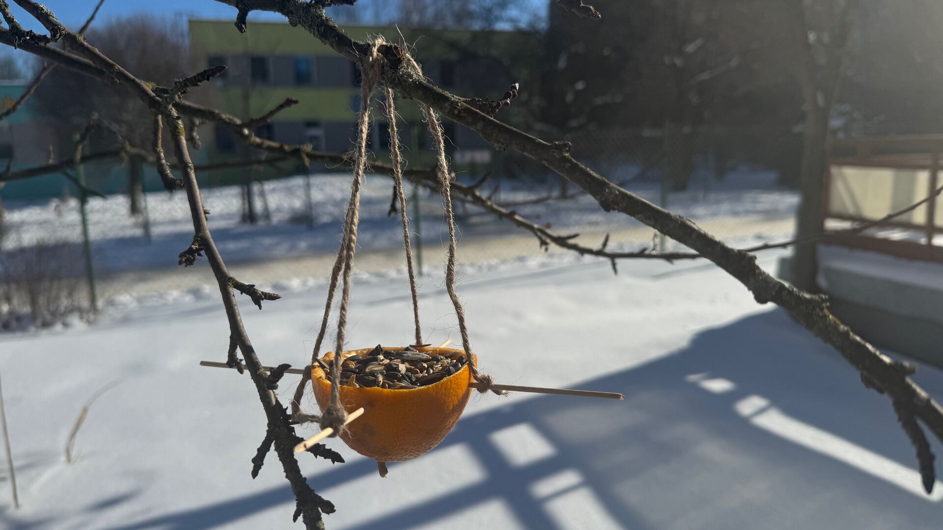 Krmítko pro ptáčky 