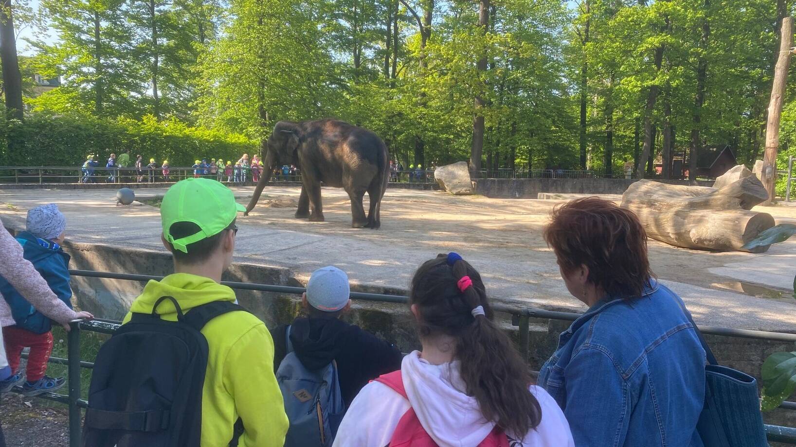 Výlet do ZOO v Liberci