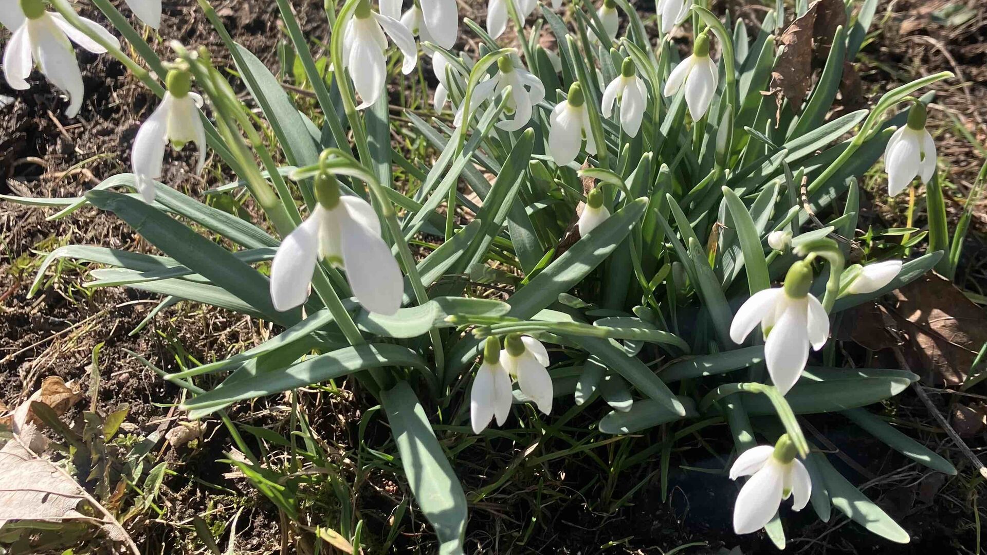 Očekáváme příchod jara - práce na pozemku 